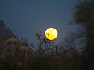 photo thumbnail #2