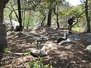 photo thumbnail #6