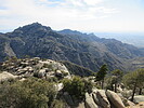 photo thumbnail #13