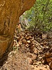 photo thumbnail #4