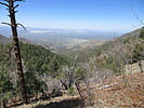 photo thumbnail #1