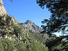 photo thumbnail #10