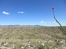 photo thumbnail #5