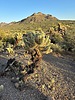 photo thumbnail #3