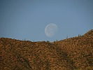 photo thumbnail #1