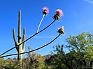 photo thumbnail #6