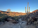 photo thumbnail #4