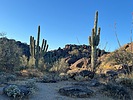 photo thumbnail #5