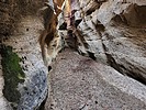 photo thumbnail #13