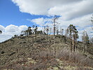 photo thumbnail #3