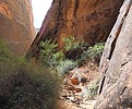 photo thumbnail #8