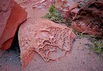 photo thumbnail #6