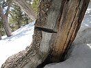 photo thumbnail #10
