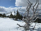 photo thumbnail #12