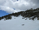 photo thumbnail #15