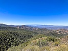 2024-04-30 :1: H.L. Canyon Trail #11 :: kingsnake