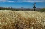 photo thumbnail #9