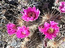 photo thumbnail #6
