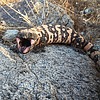 photo thumbnail #10
