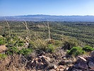 photo thumbnail #15