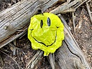 photo thumbnail #1