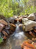 photo thumbnail #15