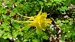 photo thumbnail #8