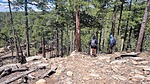 photo thumbnail #6