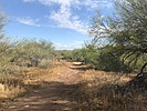 photo thumbnail #7