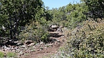 photo thumbnail #5