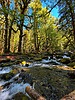 photo thumbnail #9