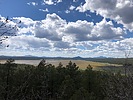 recent photo