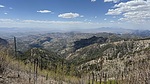 photo thumbnail #15