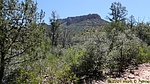 2024-05-08 :1: Bob Bear Trail #18 - Fossil Creek :: CannondaleKid