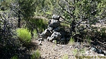 photo thumbnail #1