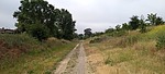 recent photo