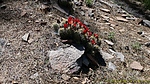 photo thumbnail #5