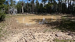 photo thumbnail #13