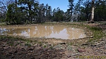 photo thumbnail #14