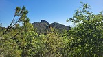 2024-05-17 :1: Thumb Butte - Mt Francis Loop :: The_Eagle