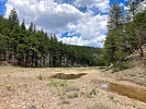 2024-05-14 :1: Lower Miller Canyon :: kingsnake
