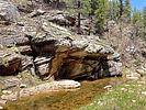 2024-05-14 :1: Lower Miller Canyon :: kingsnake