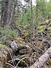 2024-05-14 :1: Lower Miller Canyon :: kingsnake