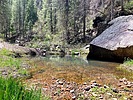 2024-05-14 :1: Lower Miller Canyon :: kingsnake