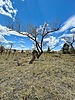 photo thumbnail #10