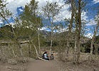 photo thumbnail #15