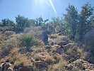 photo thumbnail #13