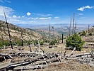 photo thumbnail #14