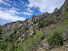 recent photo