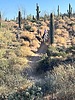 photo thumbnail #3